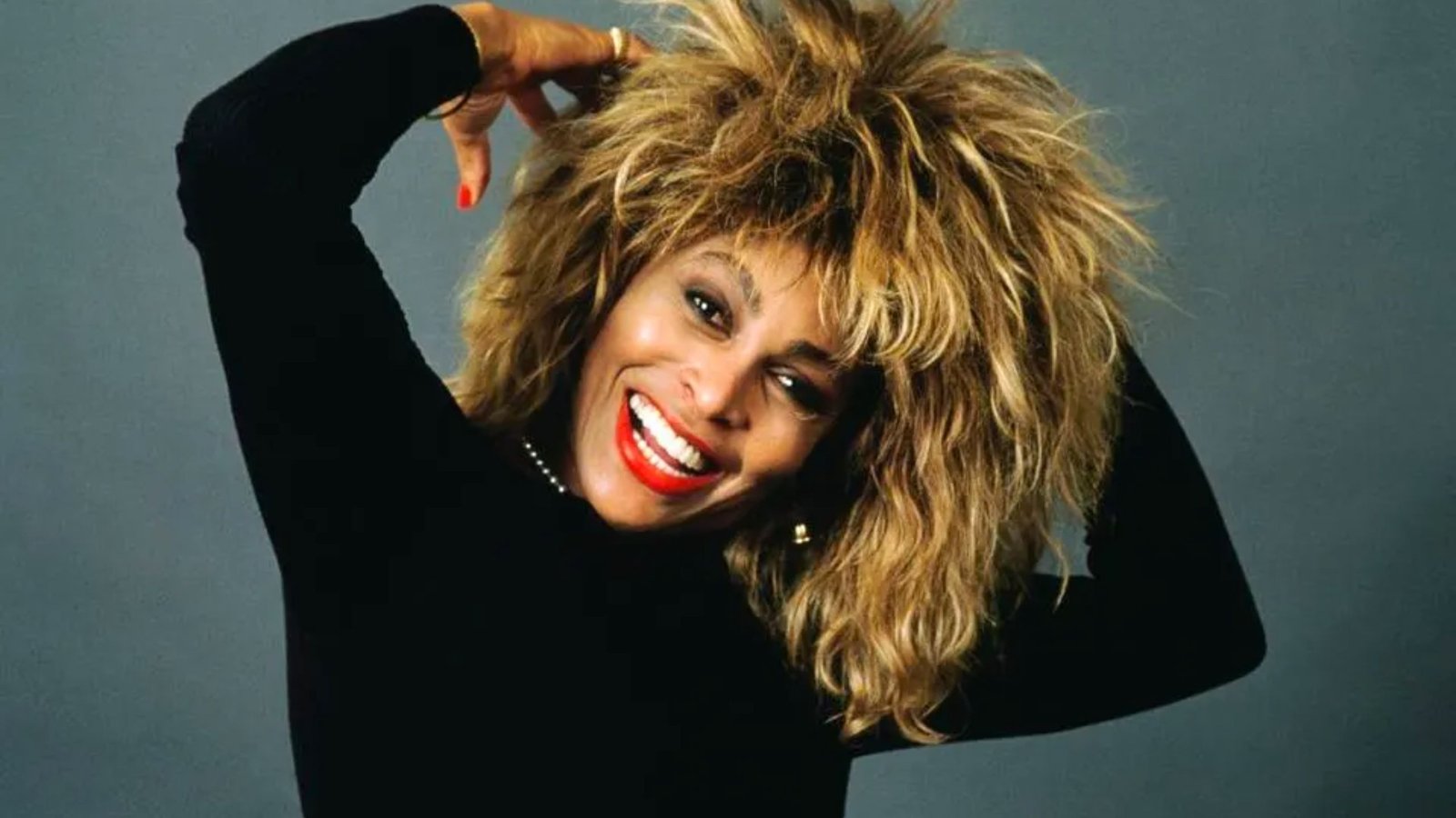 Tina Turner Net Worth